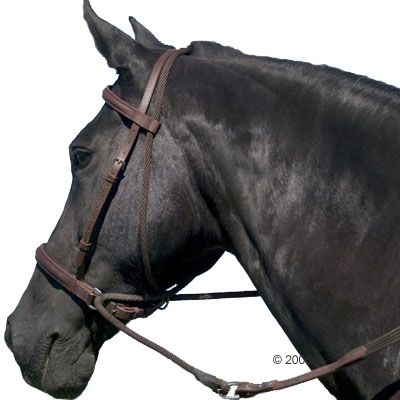 Gebisslose Trense ´´Connection´´ braun - Warmblut