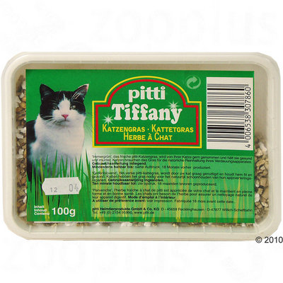 Herbe à chat en barquette Pitti- 100 g