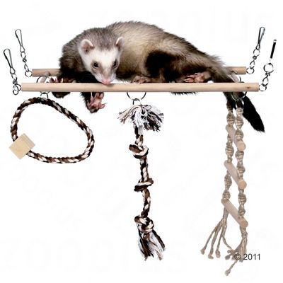 Pont de jeu suspendu pour furet, rongeur et oiseau Grand- L 35 x l 15 cm