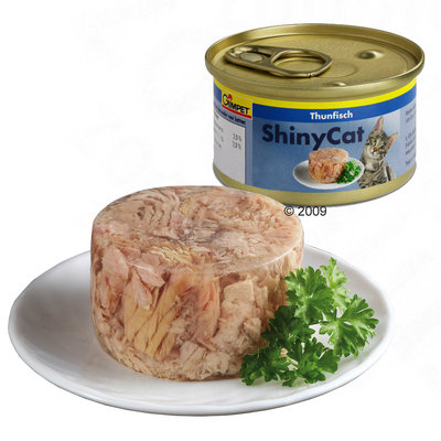 11559_gimpet_shiny_cat_1.jpg