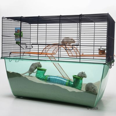 Savic Nagerkaefig Habitat XL -  L 70 x B 37 x H 56 cm