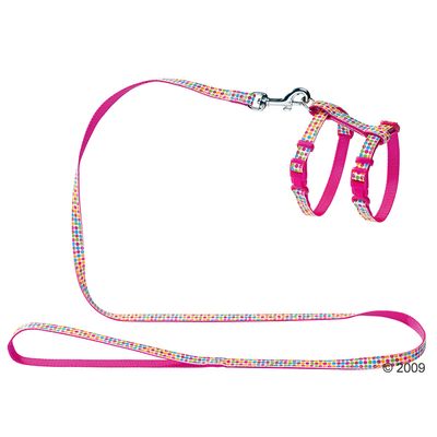 Hunter Cat and Puppy Harness - Seventies