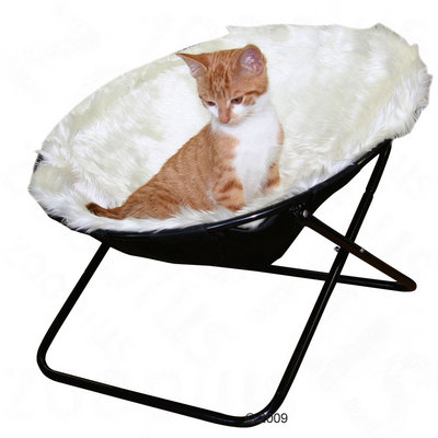 Kattenligstoel
