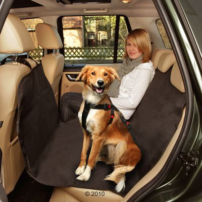 Autoschondecke Car Safe Easy - L 162 x B 132 cm