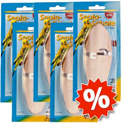 Offerta: 5 ossi di seppia con supporto - 5 pezzi in offerta