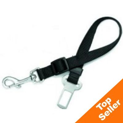 Connecting Belt - Width 20 mm/ Adjustable length 46 - 70cm