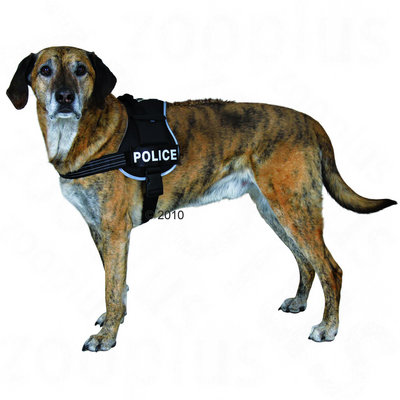 Harnais pour chien XDog- taille L - XL : tour de poitrail 50 - 100 cm