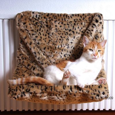 Heizungsliege Dschungel - - Leopard Preisvergleich
