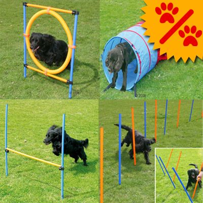 Agility Fun & Sport Komplett-Set - 4 Einzelelementen