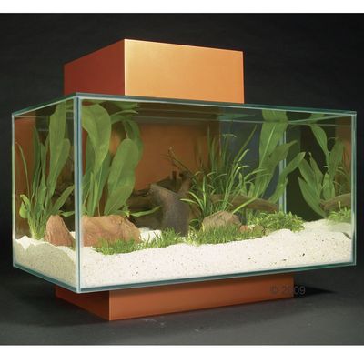 Fluval Edge Aquarium 25 Litre - black