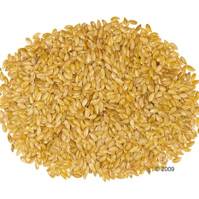 Marstall Sonnenlein Pferdefutter - 25 kg