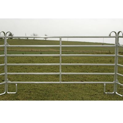 Panele - 1 Stueck 3,6 m