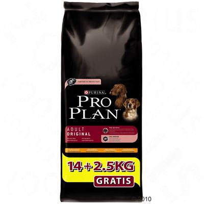 Pro Plan Bonusbag 14 kg + 2,5 kg gratis! - Puppy Large Robust Huhn & Reis