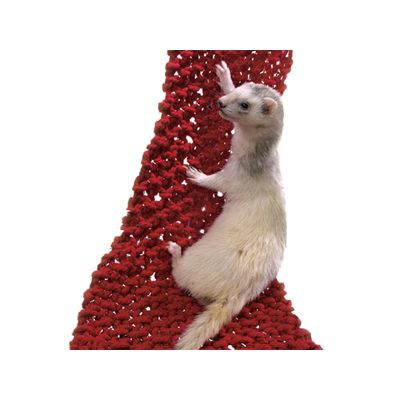 Marshall Pirate Net Hammock for Ferrets - 45 x 20 cm (L x W)
