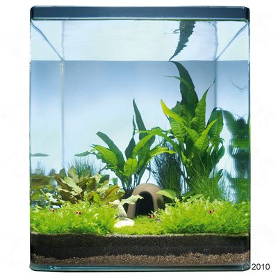 Dennerle Nano-Landschaft ´´Java Paradise´´ 30 Liter - 11 Pflanzen