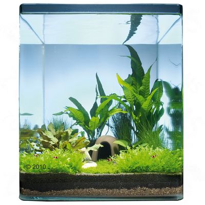 Dennerle Nano-Landschaft ´´Java Paradise´´ 20 Liter - 9 Pflanzen