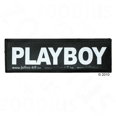 Julius K9 Logo Stickers Small (11 x 3 cm) - COUCHPOTATOE