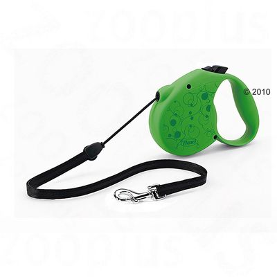 Dog Lead Flexi Colour - green