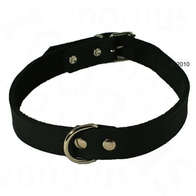 Collier en cuir pour chien Heim, riveté, noir- L 40 x l 1,6 cm