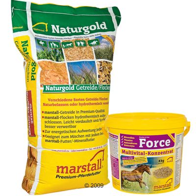 Set Marstall Schwarz-Gold-Hafer & Force - 25kg Schwarz-Gold Hafer & 4kg Force
