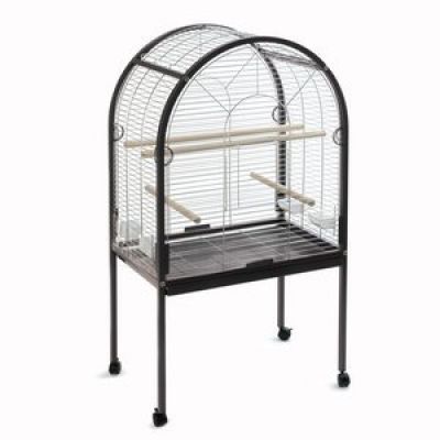 Parrot Aviary Jakarta black Parrot Aviary Jakarta black