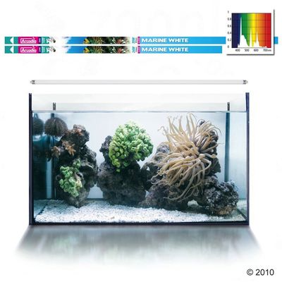 Tube T5 Arcadia Marine White- 54 Watt, L 115 cm