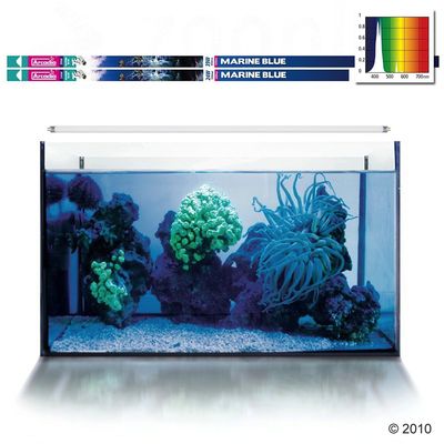 Tube T5 Arcadia Marine Blue- 54 Watt, L 115 cm
