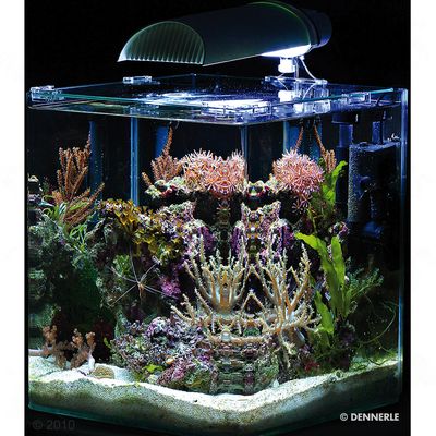Dennerle Nano Marinus Cube Complete PLUS 30 Litres - Size: 30 x 30 x 35 cm (L x W x H)