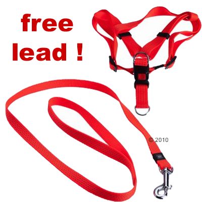 Set Karlie Dog Harness Free Lead Neon Orange Size 1 25 45 cm chest circumf