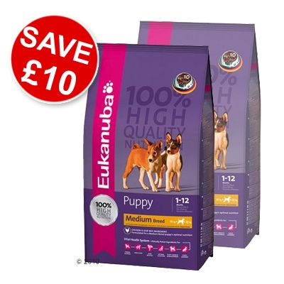 Eukanuba Puppy & Junior Medium Breed Economy pack 2 x 15 kg