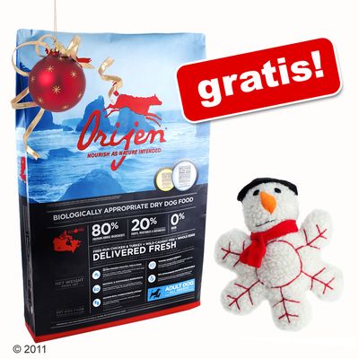 13,5 kg Orijen Hundefutter + Pluesch-Quietschie gratis! – Senior