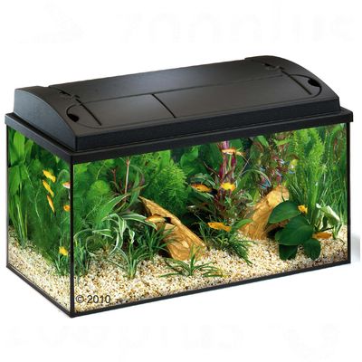 Kit aquarium MP Aquastar 60- aquarium MP Aquastar 60, noir, sans sous-meuble
