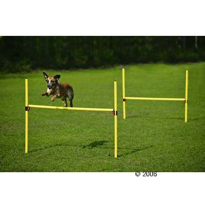 Karlie Agility Huerden 2er-Set - komplett