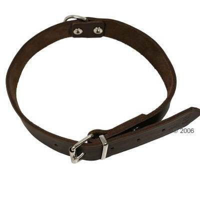 Heim riveted Leather Dog Collar 40 cm long 16 mm wide