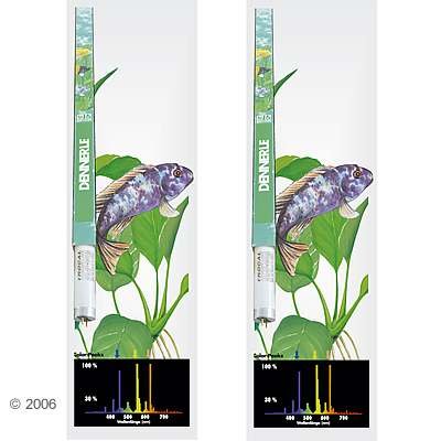 Tubes néon Dennerle Trocal de Luxe T8 African Lake DUO- 2 x 18 W, L 59 cm