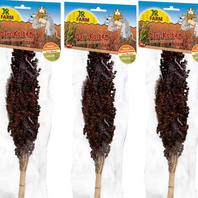 JR Farm Dari Cob - 3 Pieces - Double Pack 2 x 3 Pieces - red