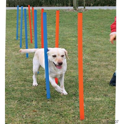 Agility Slalom Poles - Set L 115cm x &Oslash; 3.3cm