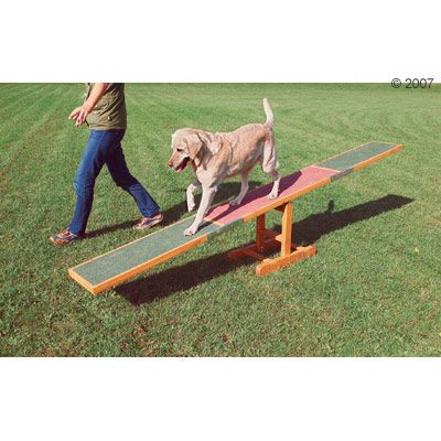 Agility Seesaw - 300 x 34 x 54 cm