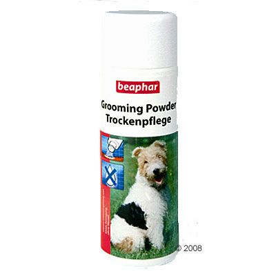 Bea Grooming Powder Dry Shampoo - Volume 100 g