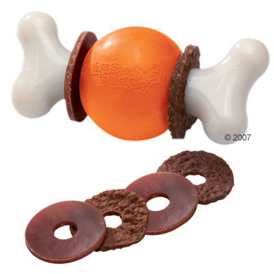 Dog Toy Active Bone - M (approx. 15 cm)