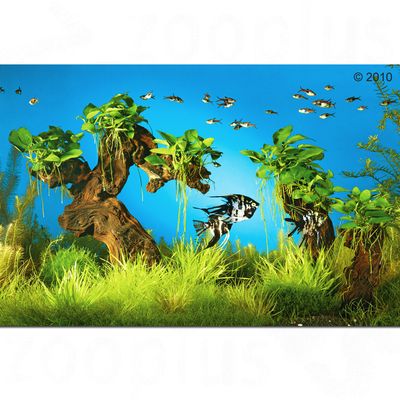 Dennerle Unterwasserlandschaft Mbuna-Waeldchen - 24 Pflanzen