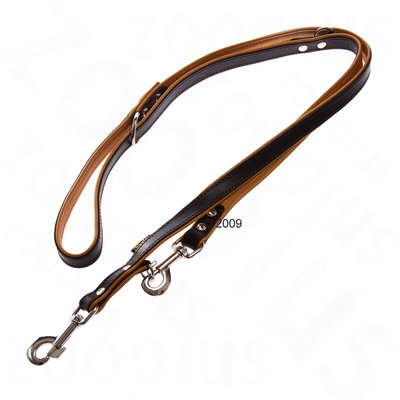 Laisse pour chien Heim, marron / cognac- L 200 x l 1,8 cm