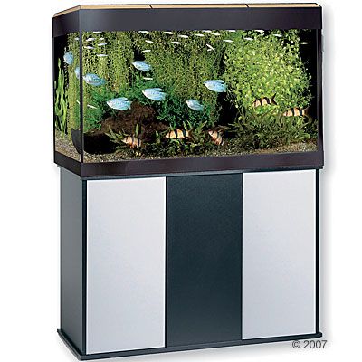 Fluval Aquarium-Kombination Roma 125 - naturhell/ mocca