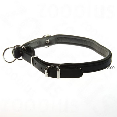 Collier de dressage pour chien Hunter Flach- L 33 - 38 x l 1,9 cm (taille 40)