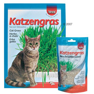 Katzengras Multipack 3 x 100 g – 3 x Nachfuellbeutel