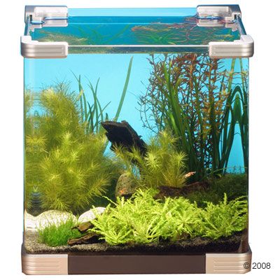 Dennerle Aquariumpflanzen Nano-Aquarium 3 Sortiment - 11 Pflanzen