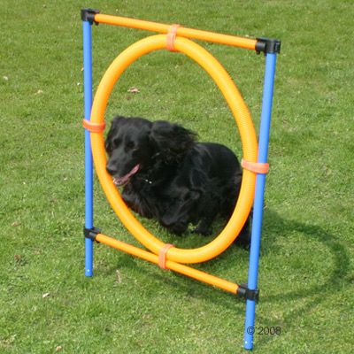 Agility Fun & Sport Jumping Hoop - Complete Set Jumping Hoop diameter 55 cm