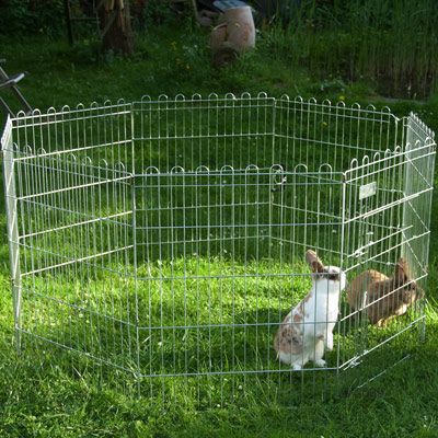 Ruby Run for Small Pets - 8 Sided - 8 elements each 61 x 61 cm