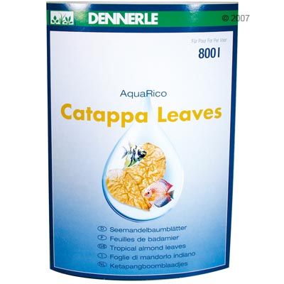 Dennerle Catappa Leaves - 8 Pieces