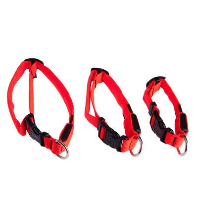 Collier pour chien Trixie Flash, réflecteur- L 30 - 40 x l 2,5 cm (taille S - M)